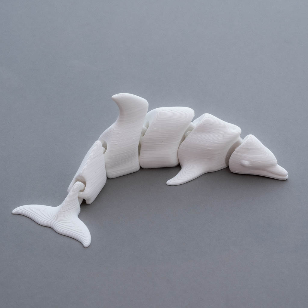 Dauphin articulé 3d