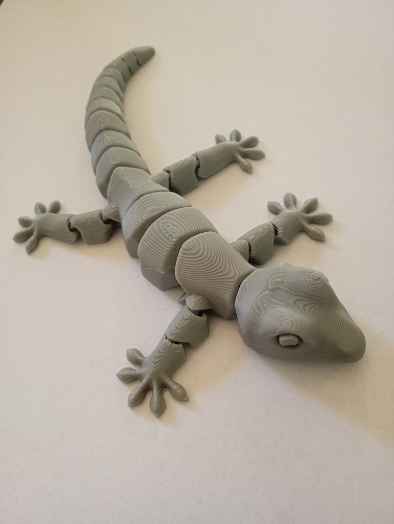 Gecko articulé 3d