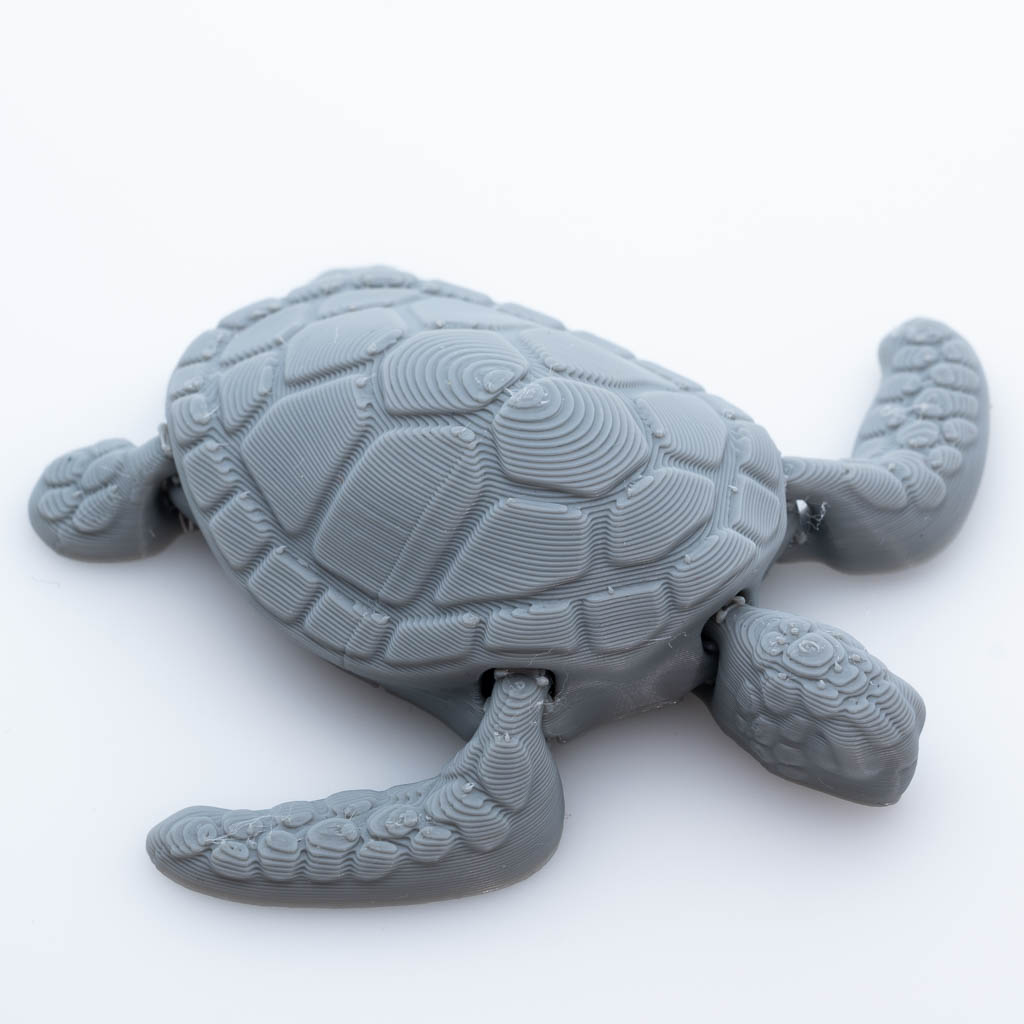 Tortue articulée 3d