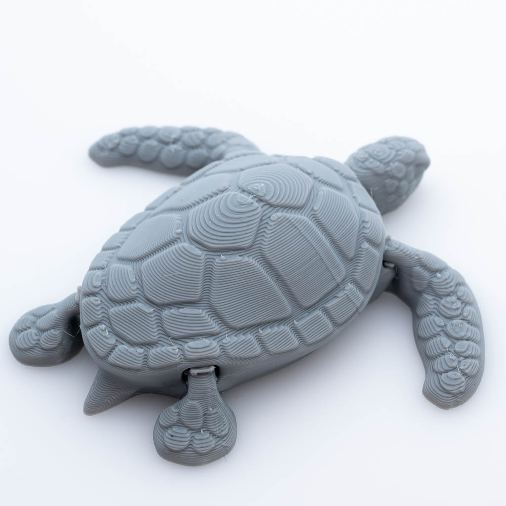 Tortue articulée 3d
