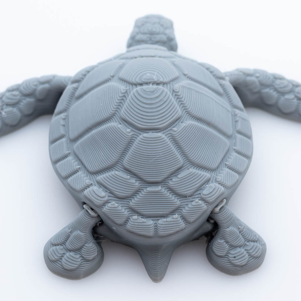 Tortue articulée 3d